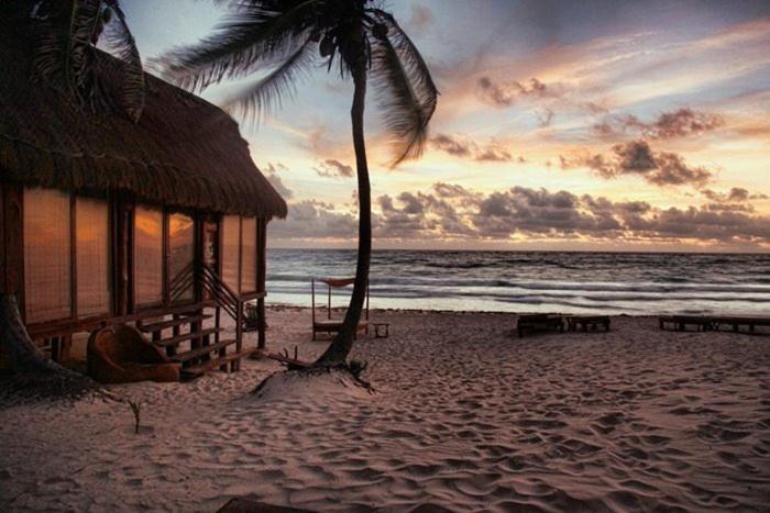 Hotel Casa Violeta à Tulum Extérieur photo