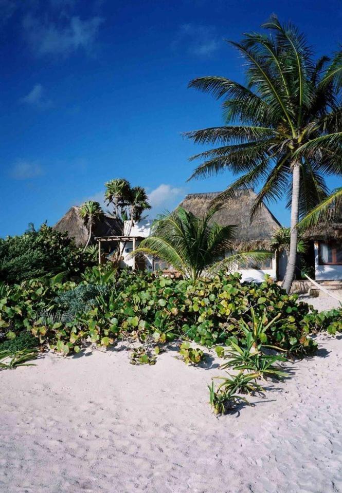 Hotel Casa Violeta à Tulum Extérieur photo
