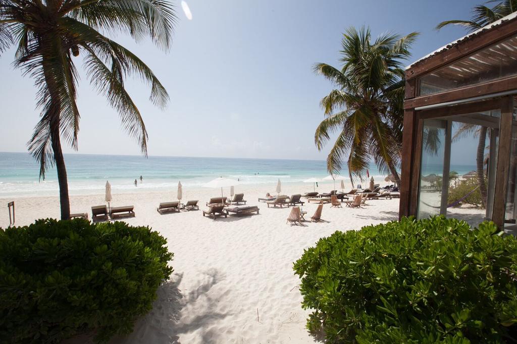 Hotel Casa Violeta à Tulum Extérieur photo