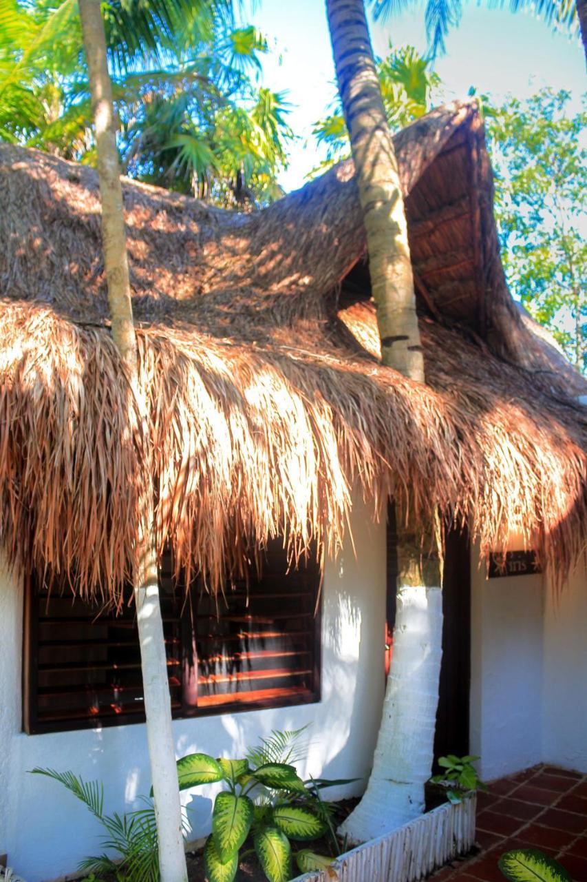 Hotel Casa Violeta à Tulum Extérieur photo