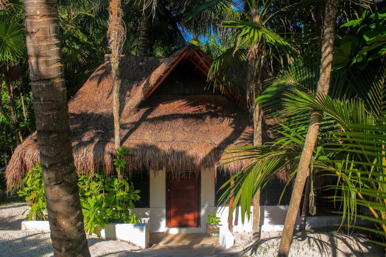 Hotel Casa Violeta à Tulum Extérieur photo