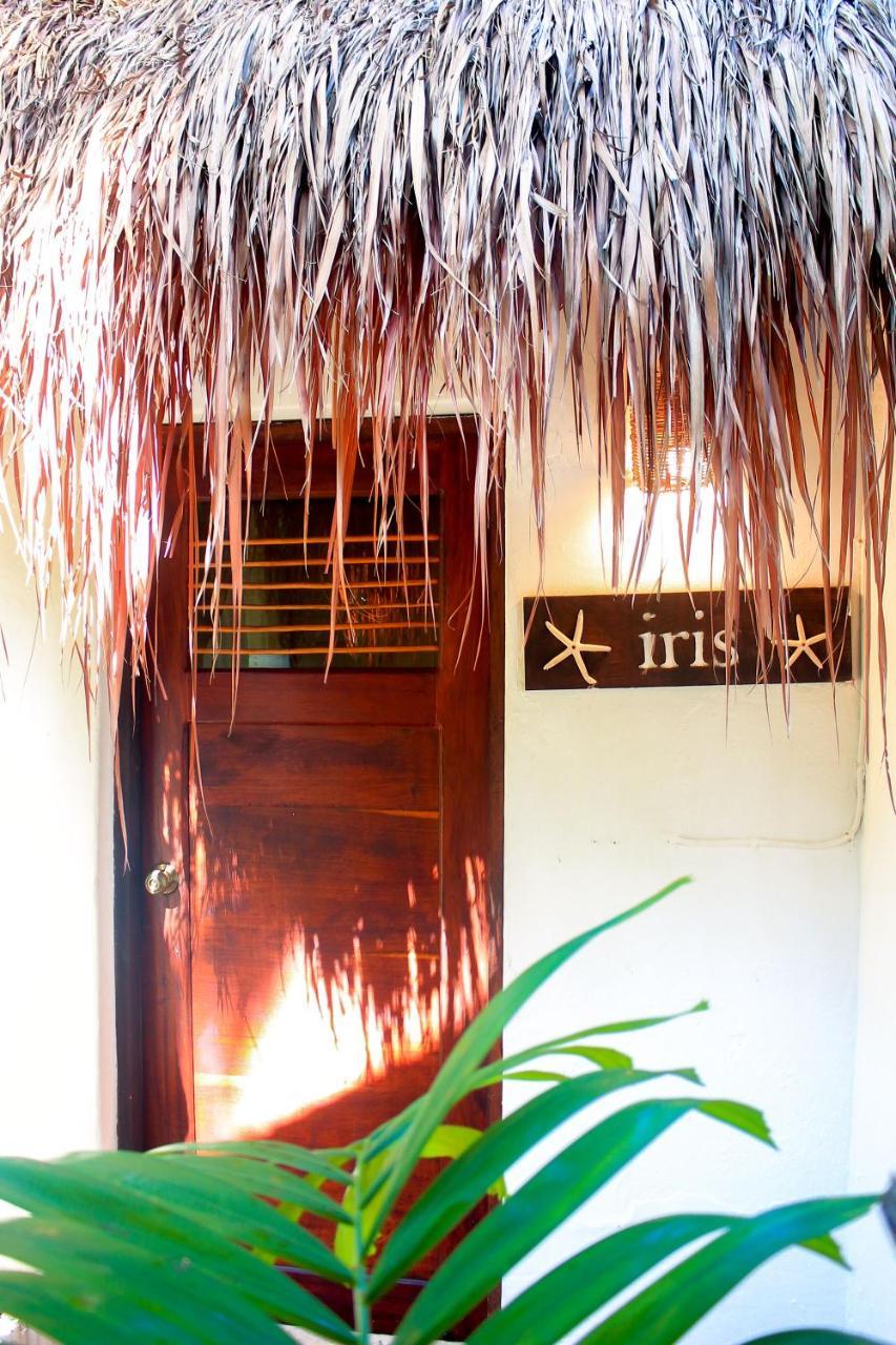 Hotel Casa Violeta à Tulum Extérieur photo