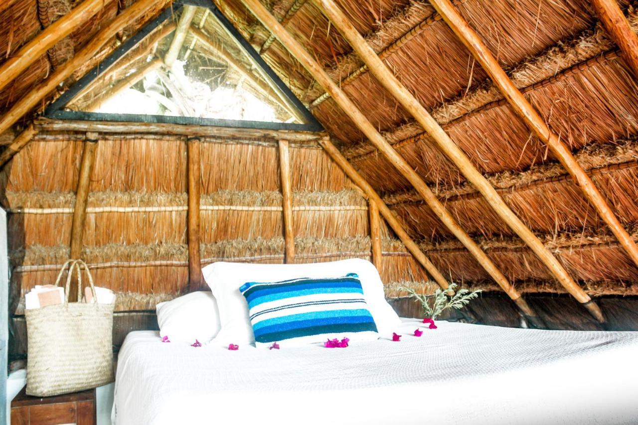 Hotel Casa Violeta à Tulum Extérieur photo